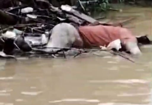 Jasad Pria Terapung di Pinggir Sungai Ogan, Kabupaten Ogan Koemring Ulu. Foto: Tangkapan Layar Video.