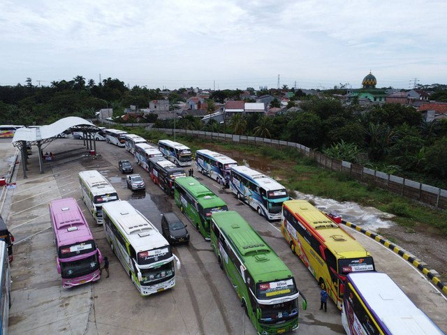 Bus untuk angkut mudik gratis saat Nataru 2024/2025. Foto: Kemenhub