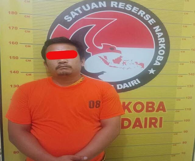 Tersangka SAS (34) diamankan Sat Narkoba Polres Dairi. Foto: Dok. Polres Dairi.