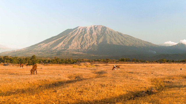 Savana tianyar pemandangan epik terbaik untuk melihat gunung agung. Foto: Hai.Gandhi/Shutterstock