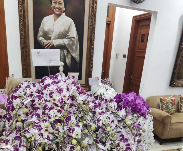 Anggrek Prabowo untuk Megawati. Foto: Dok. Istimewa