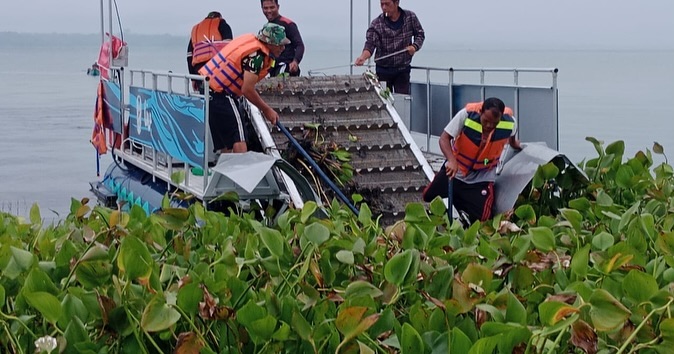 Prajurit Kodim 0210/TU bersama Masyarakat Bersihkan Eceng Gondok di Kawasan Danau Toba. Foto: Istimewa.