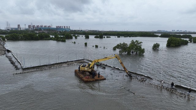 Direktur Jenderal Pengawasan Sumber Daya Kelautan dan Perikanan (PSDKP), Pung Nugroho Saksono dalam pembongkaran pagar laut tanpa izin di Desa Segarajaya, Bekasi Jawa Barat, Selasa (11/2/2025). Foto: Dok. Humas PSDKP KKP