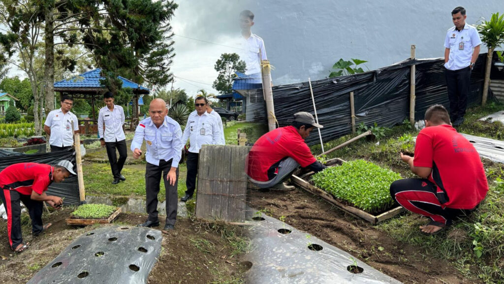 Penanaman Bibit Cabai dan Tomat di Lahan Ruta Sidikalang. Foto: Dok. Rutan Sidikalang.