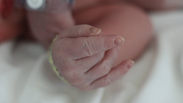 Ilustrasi bayi. Foto: DonyaHHI/shutterstock