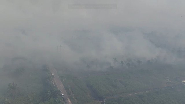 Kabut asap tebal akibat kebakaran hutan dan lahan selimuti wilayah Kabupaten Rokan Hulu, Riau, Rabu (23/7/2025). Foto: Dok. Polda Riau