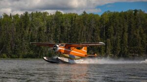 Ilustrasi sea plane. Foto: Harlan Schwartz/Shutterstock